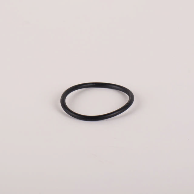 O-ring (3.53 X 44.45)